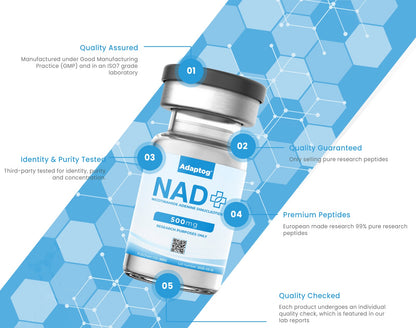 NAD+ (500mg) Apex Receptor